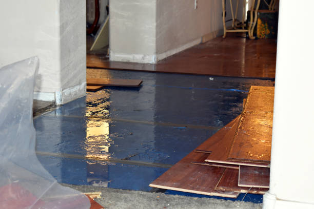 Professional Burst Pipe Cleanup technician working in Nevada, TX