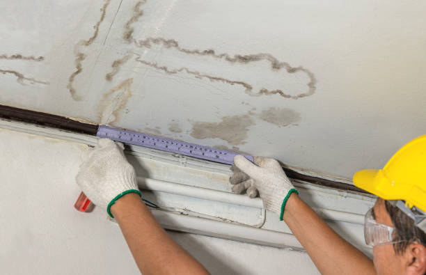 Reliable Burst Pipe Cleanup contractor in Nevada, TX by Water Damage Irwin